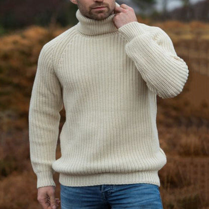 Herren Pullover Grobstrick Rollkragen Modern