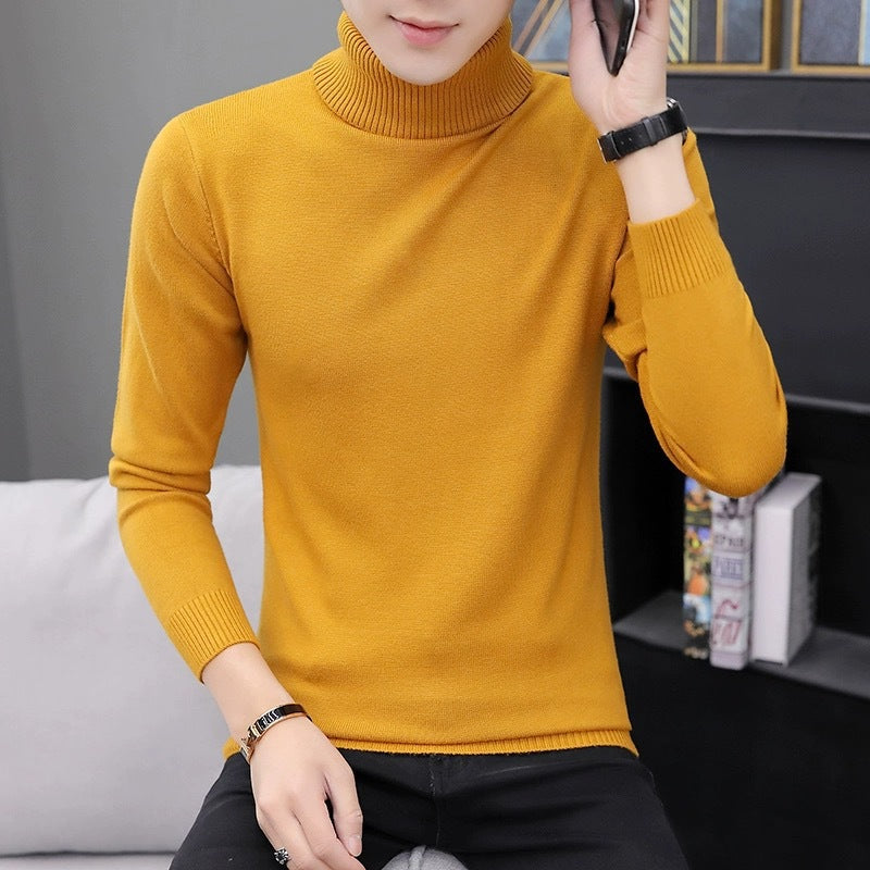 Herren Rollkragenpullover Bequem Warm Modern