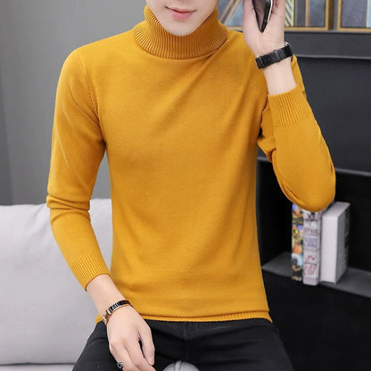 Herren Rollkragenpullover Bequem Warm Modern