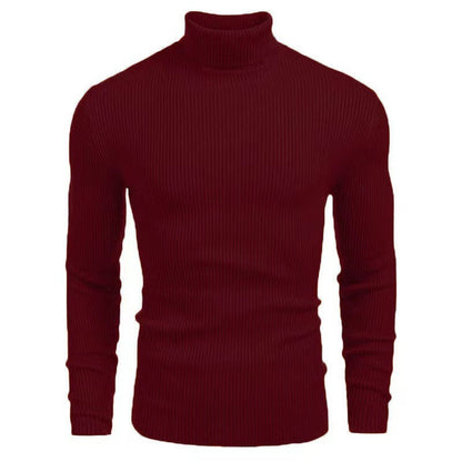 Herren Pullover Rollkragen Struktur Rippenmuster Modern