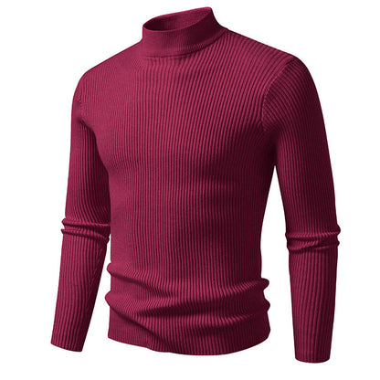 Herren Rollkragenpullover Strukturiert Ripp Optik Modern
