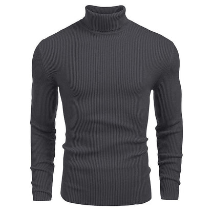 Herren Rollkragenpullover Strukturiert Modern Stadtstyle