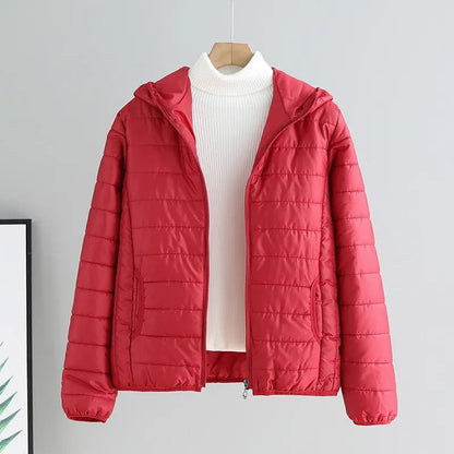 Damen Übergangsjacke Steppjacke Mit Kapuze Modern