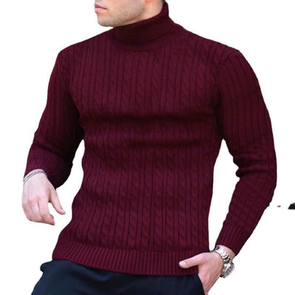 Herren Rollkragenpullover Zopfmuster Modern