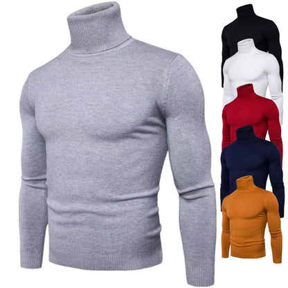 Herren Rollkragenpullover Feine Merinowolle Modern
