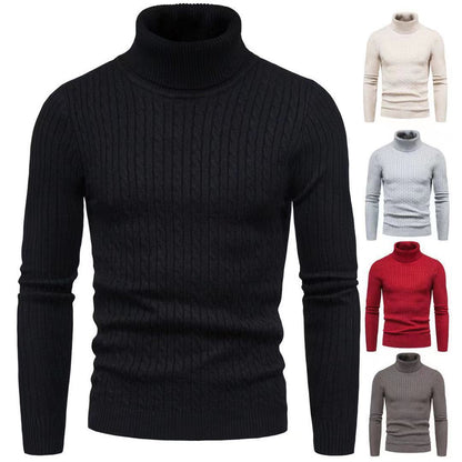 Herren Rollkragenpulli Strukturiert Zopfmuster Modern - BerlinGlamour