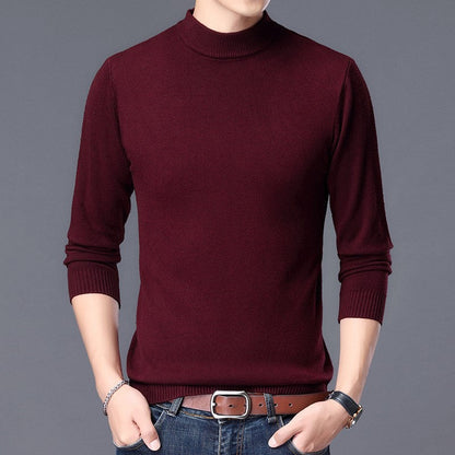 Herren Rollkragenpullover Fein Strick Hochwertig Elegent