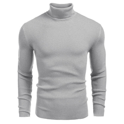 Herren Rollkragenpullover Strukturiert Modern Stadtstyle