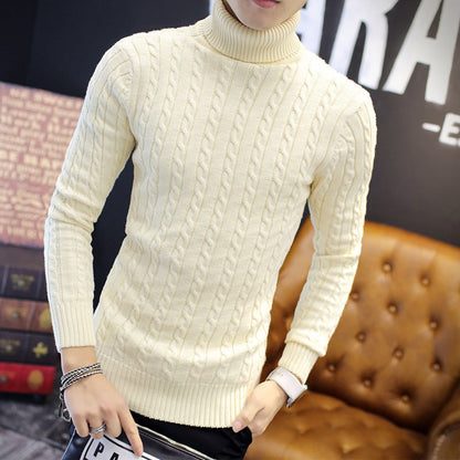 Herren Rollkragenpullover Zopfmuster Weich Komfortabel