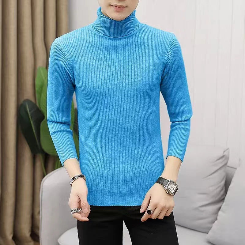 Herren Pullover Stehkragen Ribbelstrick Modern