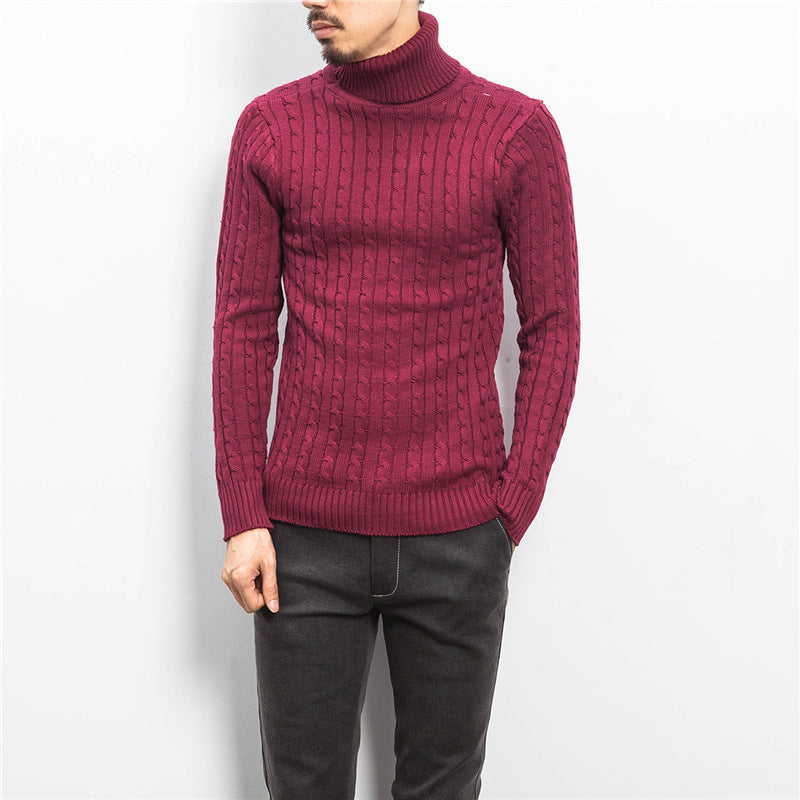 Herren Rollkragenpullover Zopfmuster Weich Komfortabel