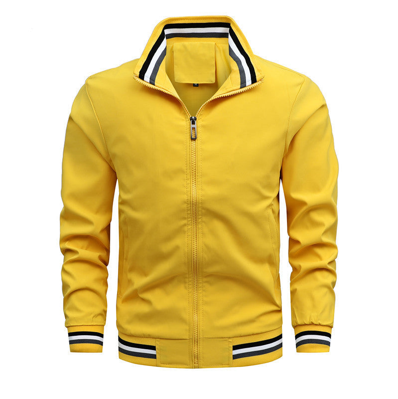 Herren Freizeitjacke Sportlich Modern Stehkragen