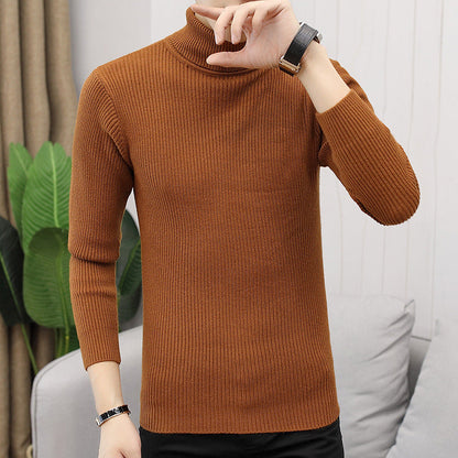 Herren Rollkragenpullover Feinstrick Hochwertig Elegant
