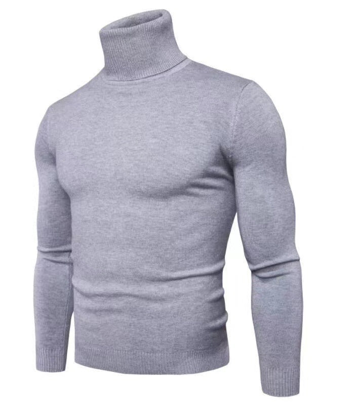 Herren Rollkragenpullover Feine Merinowolle Modern