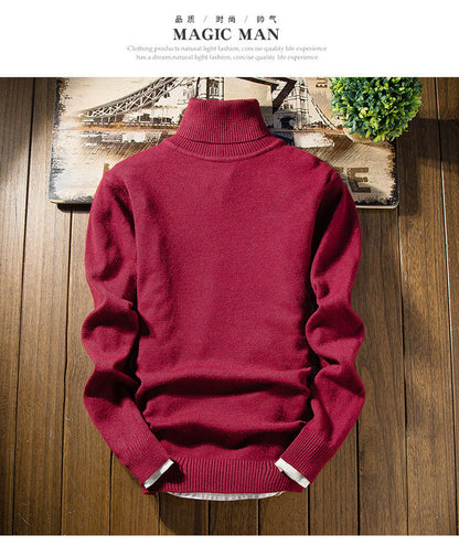 Herren Rollkragenpullover Feine Merinowolle Modern