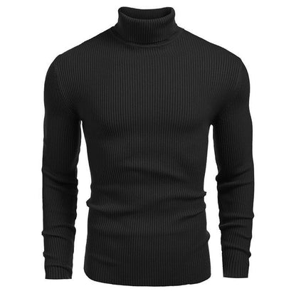 Herren Pullover Rollkragen Struktur Rippenmuster Modern