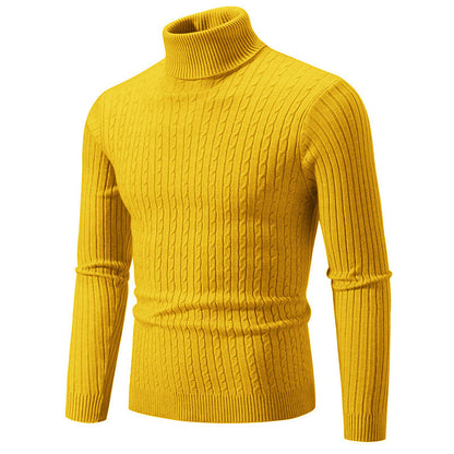 Herren Rollkragenpullover Strickmuster Grobstrick Modern