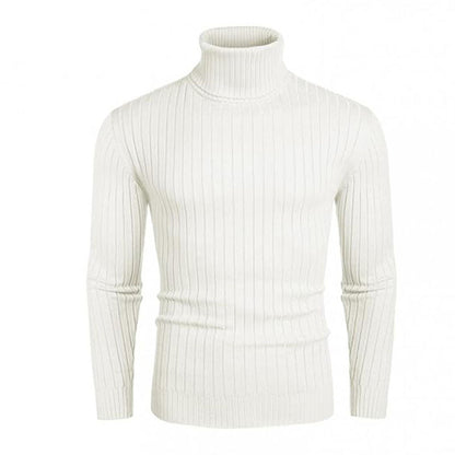 Herren Rollkragenpullover Elastisch Rippendesign Modern - BerlinGlamour