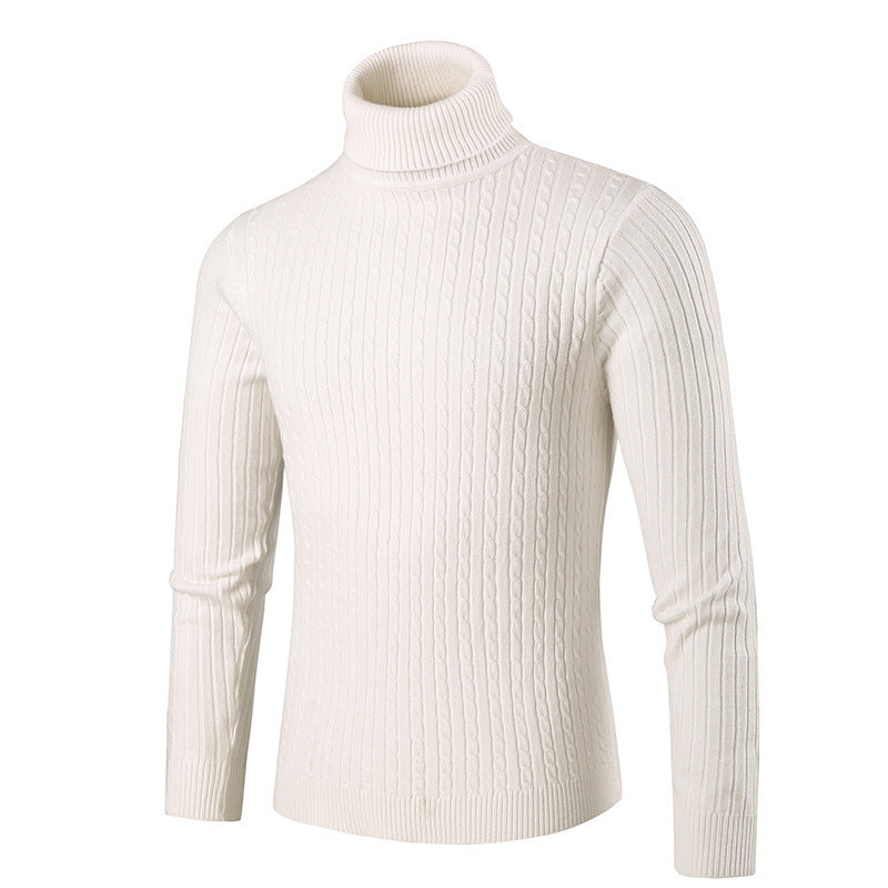 Herren Rollkragenpullover Strick Modern Style