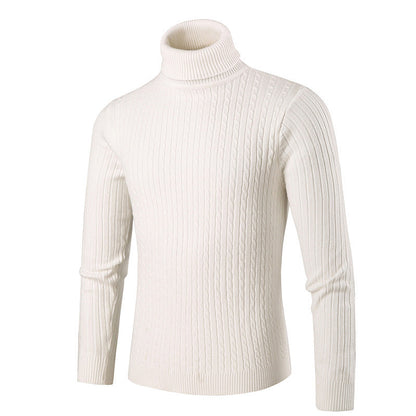Herren Rollkragenpullover Strick Modern Style