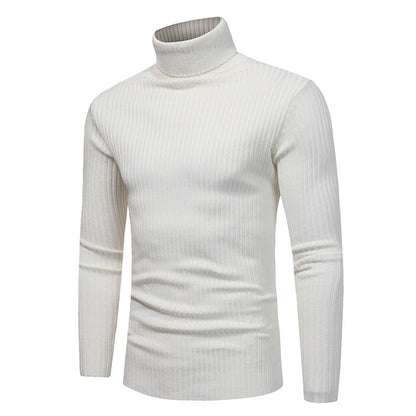 Herren Pullover Rollkragen Modern Hochwertig - BerlinGlamour