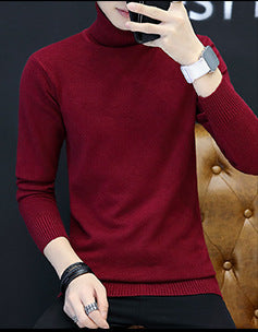 Herren Rollkragenpullover Fein Strick Elegent Schwarz