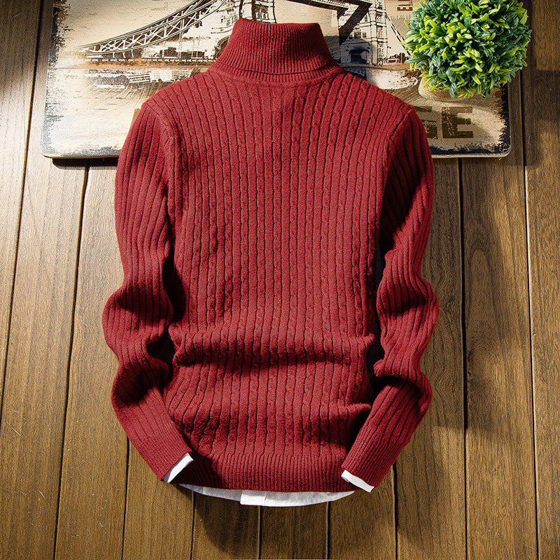 Herren Rollkragenpullover Rippstrick Muster Modern Schwarz
