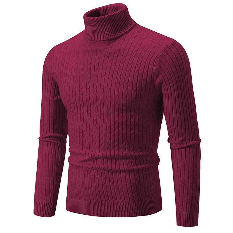 Herren Pullover Strukturiert Zopfmuster Hochkragen Modern