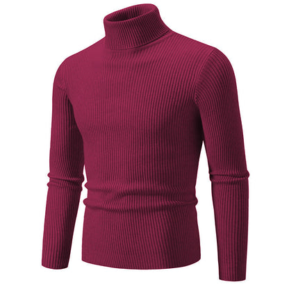 Herren Pullover Rollkragen Modern Feinripp Design