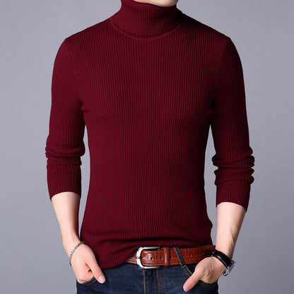 Herren Feinpullover Modern Strick Design