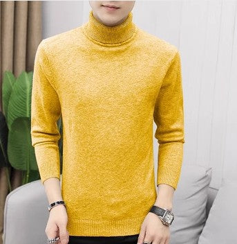Herren Pullover Rollkragen Merinowolle Fein Eleganter