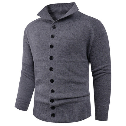 Herren Strickpullover Hochkragen Knopfverschluss Modern