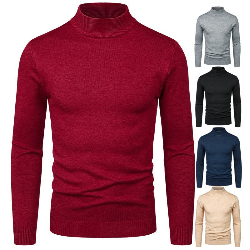 Herren Rollkragenpullover Eleganter Style Feine Baumwolle