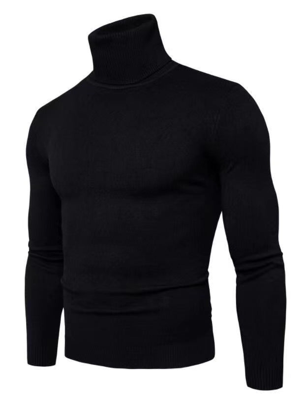 Herren Rollkragenpullover Feine Merinowolle Modern