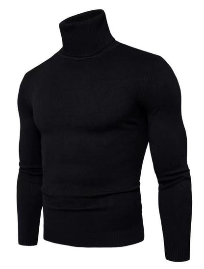 Herren Rollkragenpullover Feine Merinowolle Modern