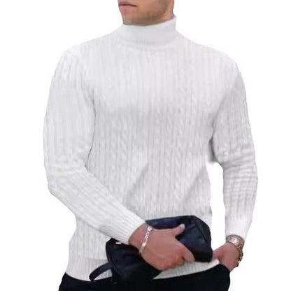 Herren Pullover Strukturiert Zopfmuster Hochkragen Modern