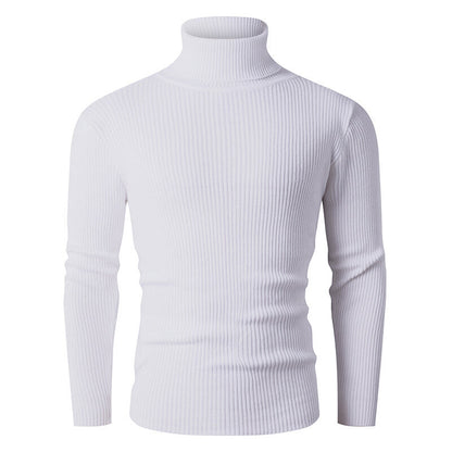Herren Rollkragenpullover Gerippt Strick Modern Schwarz