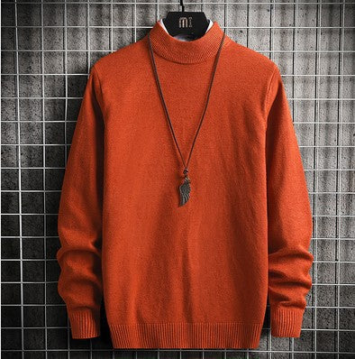 Herren Rollkragenpullover Warm Fein Strick Made