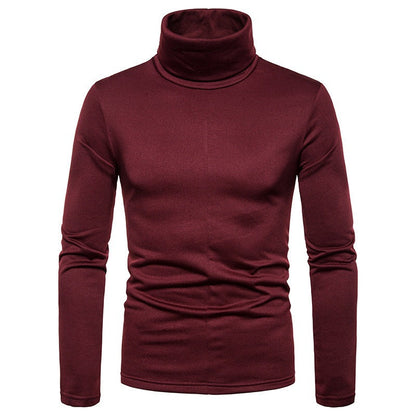 Herren Rollkragenpullover Weiches Strickmaterial Modern
