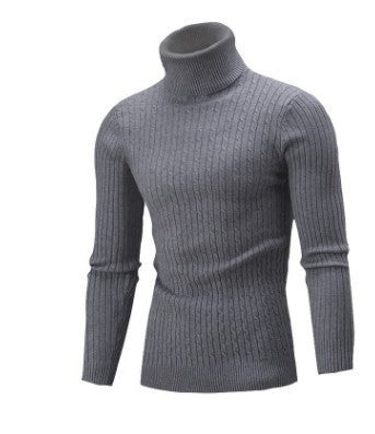 Herren Rollkragenpullover Modern Trendig Warm