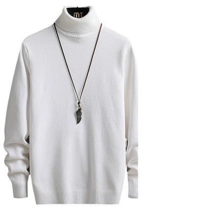 Herren Rollkragenpullover Weich Modern Stylisch