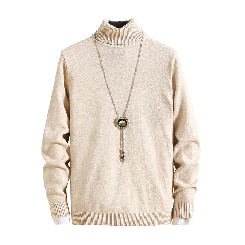Herren Rollkragenpullover Modisch Fein Strukturiert