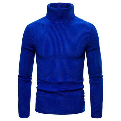 Herren Rollkragenpullover Struktur Optik Modern