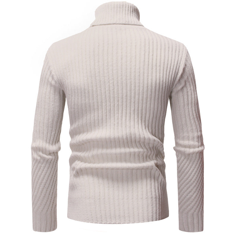 Herren Rollkragenpullover Modern Strukturiert Trendig