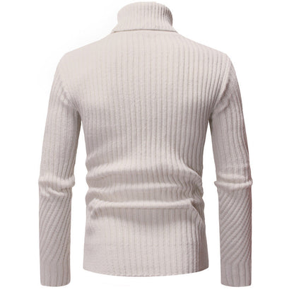 Herren Rollkragenpullover Modern Strukturiert Trendig