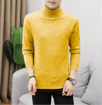 Herren Rollkragenpullover Baumwolle Hochwertig Elegannt