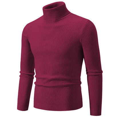 Herren Rollkragenpullover Fein Strick Langlebig Elegent