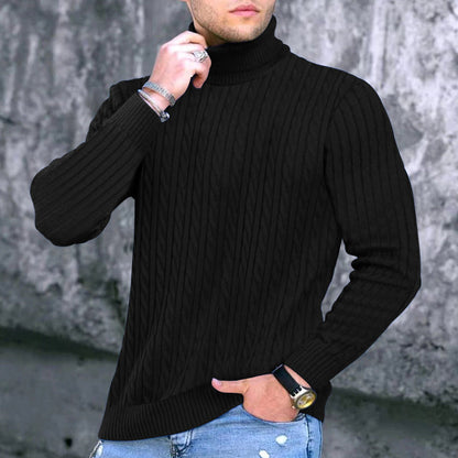 Herren Rollkragenpullover Zopfmuster Modern