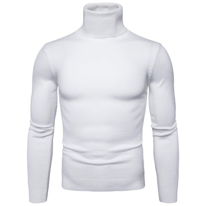 Herren Rollkragenpullover Weich Soft Strick Pullover