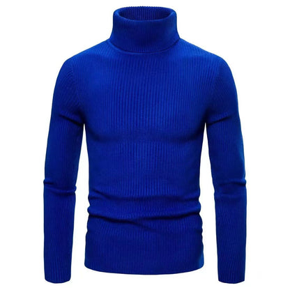 Herren Pullover Stehkragen Ribbelstrick Modern